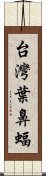 台灣葉鼻蝠 Scroll