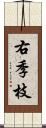 右季枝 Scroll