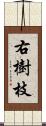 右樹枝 Scroll