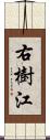 右樹江 Scroll