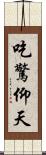 吃驚仰天 Scroll