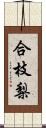 合枝梨 Scroll