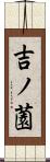 吉ノ薗 Scroll
