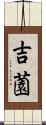 吉薗 Scroll
