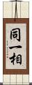 同一相 Scroll