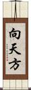 向天方 Scroll