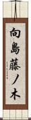 向島藤ノ木 Scroll