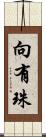 向有珠 Scroll