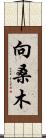 向桑木 Scroll