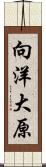 向洋大原 Scroll