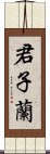 君子蘭 Scroll