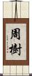 周樹 Scroll