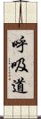 呼吸道 Scroll