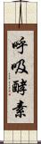 呼吸酵素 Scroll