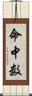 命中数 Scroll