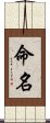 命名 Scroll