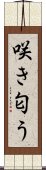 咲き匂う Scroll