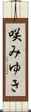 咲みゆき Scroll