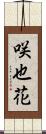 咲也花 Scroll