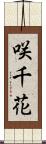 咲千花 Scroll