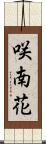 咲南花 Scroll