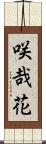 咲哉花 Scroll