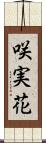 咲実花 Scroll