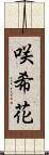 咲希花 Scroll