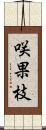 咲果枝 Scroll