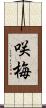 咲梅 Scroll
