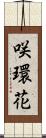 咲環花 Scroll