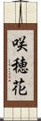 咲穂花 Scroll