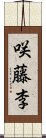 咲藤李 Scroll