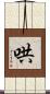 哄 Scroll