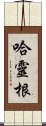 哈靈根 Scroll