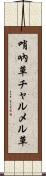 哨吶草 Scroll