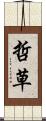 哲草 Scroll