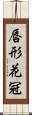 唇形花冠 Scroll