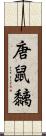 唐鼠黐 Scroll