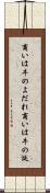 商いは牛のよだれ Scroll