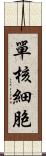 單核細胞 Scroll