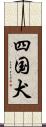 四国犬 Scroll