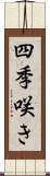 四季咲き Scroll