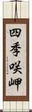 四季咲岬 Scroll