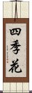 四季花 Scroll