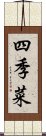 四季菜 Scroll