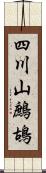 四川山鷓鴣 Scroll