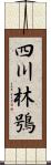 四川林鴞 Scroll