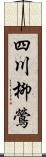 四川柳鶯 Scroll