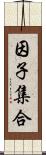 因子集合 Scroll